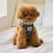 Cute Bear Adjustable Pet Harness And Leash Set 0