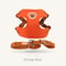 Cute Bear Adjustable Pet Harness And Leash Set 6