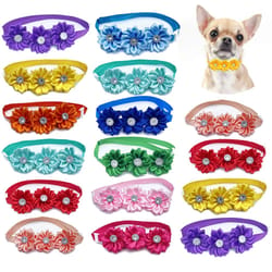 dog bow tie and flower collar accessory set