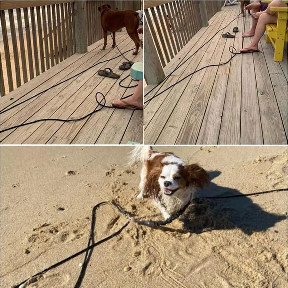 Heavy Duty Long Rope Training Dog Leash 9
