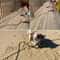 Heavy Duty Long Rope Training Dog Leash 9