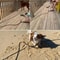 Heavy Duty Long Rope Training Dog Leash 9