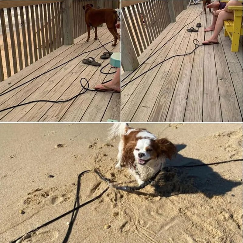 Heavy Duty Long Rope Training Dog Leash 9