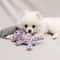 Bite Resistant Rope Knot Ball Dog Chew Toy 3