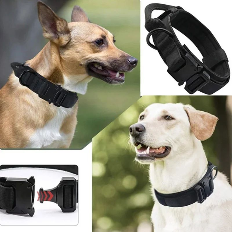 Adjustable Tactical Dog Collar And Training Leash 1