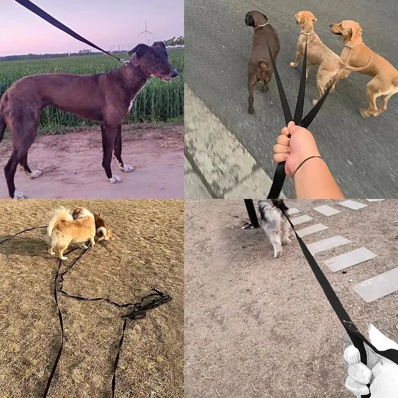 Heavy Duty Nylon Dog Leash For Small And Large Pets 5