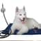 Adjustable Electric Heating Pad For Dogs And Cats 6