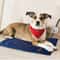 Adjustable Electric Heating Pad For Dogs And Cats 7
