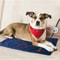 Adjustable Electric Heating Pad For Dogs And Cats 7