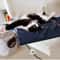 Adjustable Electric Heating Pad For Dogs And Cats 8