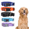 Adjustable Nylon Pet Collar For Dogs And Cats 0