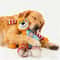 Interactive Plush Chew Toy For Dogs And Cats 2