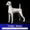 Teddy Dog Grooming Practice Model For Pet Groomers 7