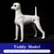 Teddy Dog Grooming Practice Model For Pet Groomers 7