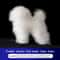 Teddy Dog Grooming Practice Model For Pet Groomers 6