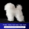 Teddy Dog Grooming Practice Model For Pet Groomers 6