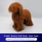 Teddy Dog Grooming Practice Model For Pet Groomers 10