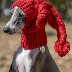 hand knit winter beanie hat for greyhound and large dogs