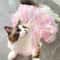 Cute Princess Lace Dress For Dogs And Cats 2