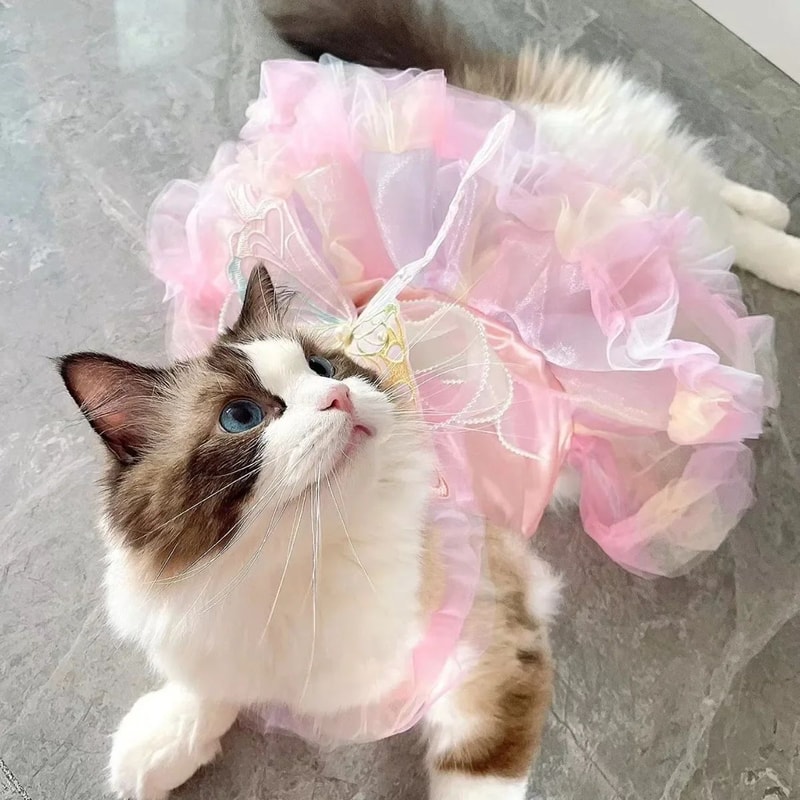 Cute Princess Lace Dress For Dogs And Cats 2