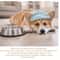 Anti Choking Slow Feeder Dog Bowl With Lick Mat Design 3