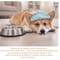 Anti Choking Slow Feeder Dog Bowl With Lick Mat Design 3