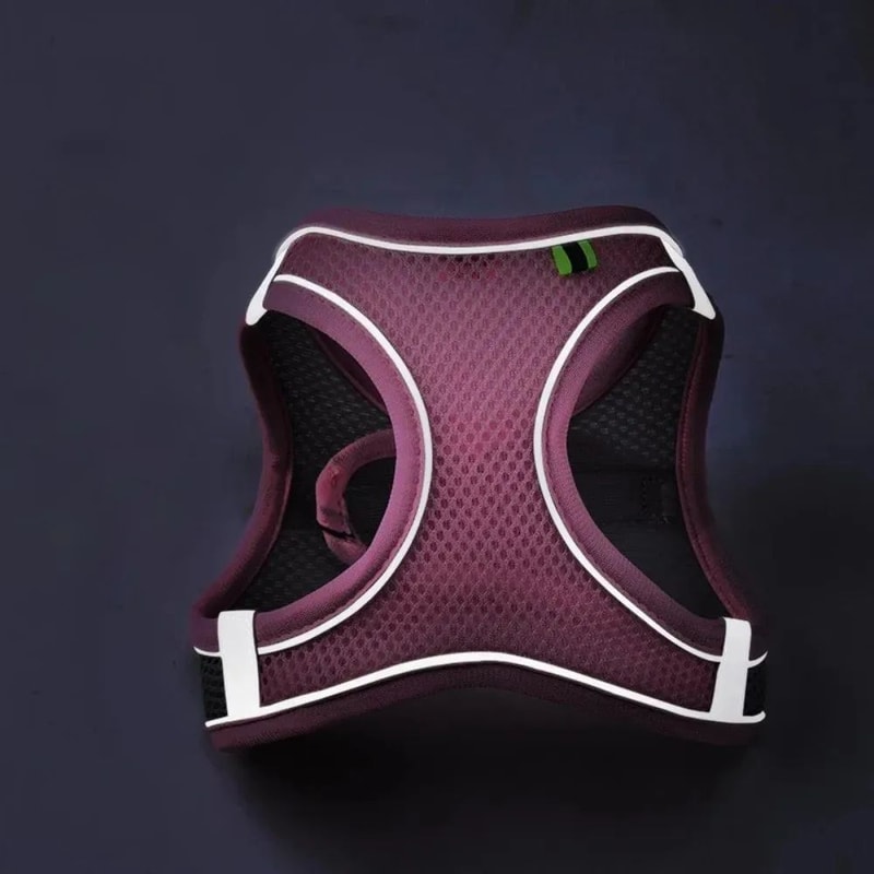 Reflective Adjustable Pet Harness Vest With Leash Set 4