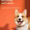 Smart Interactive Jumping Ball Toy For Dogs And Cats 6