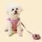 Warm Adjustable Pet Harness And Leash Set For Small Dogs And Cats 2