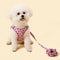 Warm Adjustable Pet Harness And Leash Set For Small Dogs And Cats 2