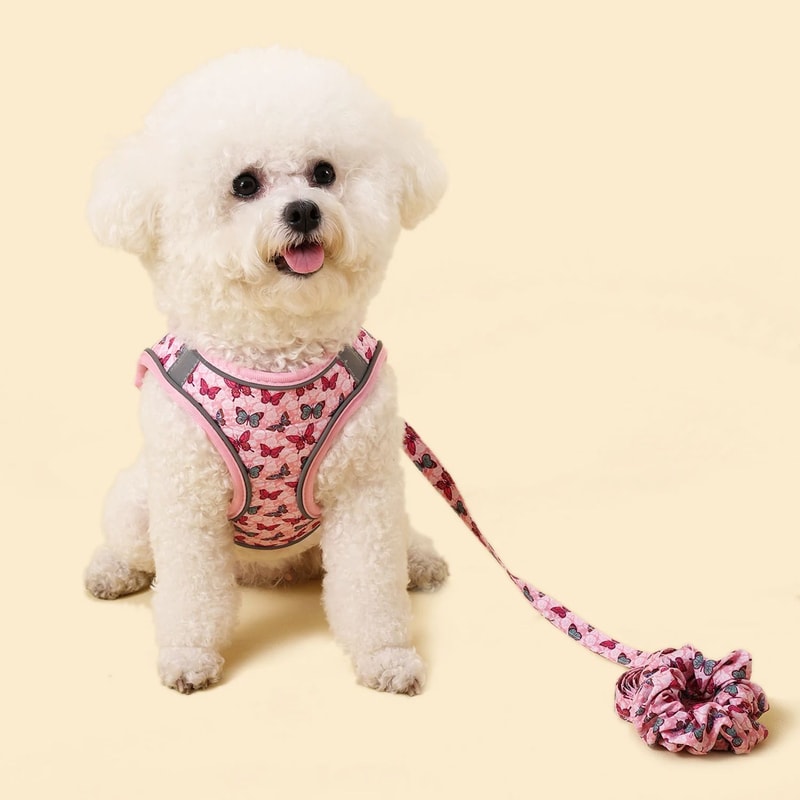 Warm Adjustable Pet Harness And Leash Set For Small Dogs And Cats 2