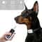 Rechargeable Automatic Anti Barking Dog Training Collar 2