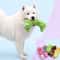 Plush Squeaky Dog Chew Toy 2