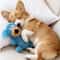 Plush Squeaky Dog Chew Toy 14