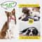 Plush Squeaky Dog Chew Toy 7