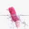 Plush Squeaky Dog Chew Toy 10