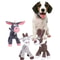 Plush Squeaky Dog Chew Toy 12