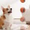 Tough Elastic Dog Fetch Ball Toy 6