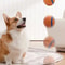 Tough Elastic Dog Fetch Ball Toy 6