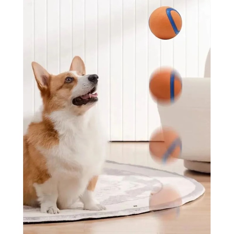 Tough Elastic Dog Fetch Ball Toy 6