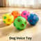Rubber Footprint Sound Dog Ball 0