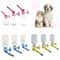 No Drip Dog Water Dispenser Bottle 5