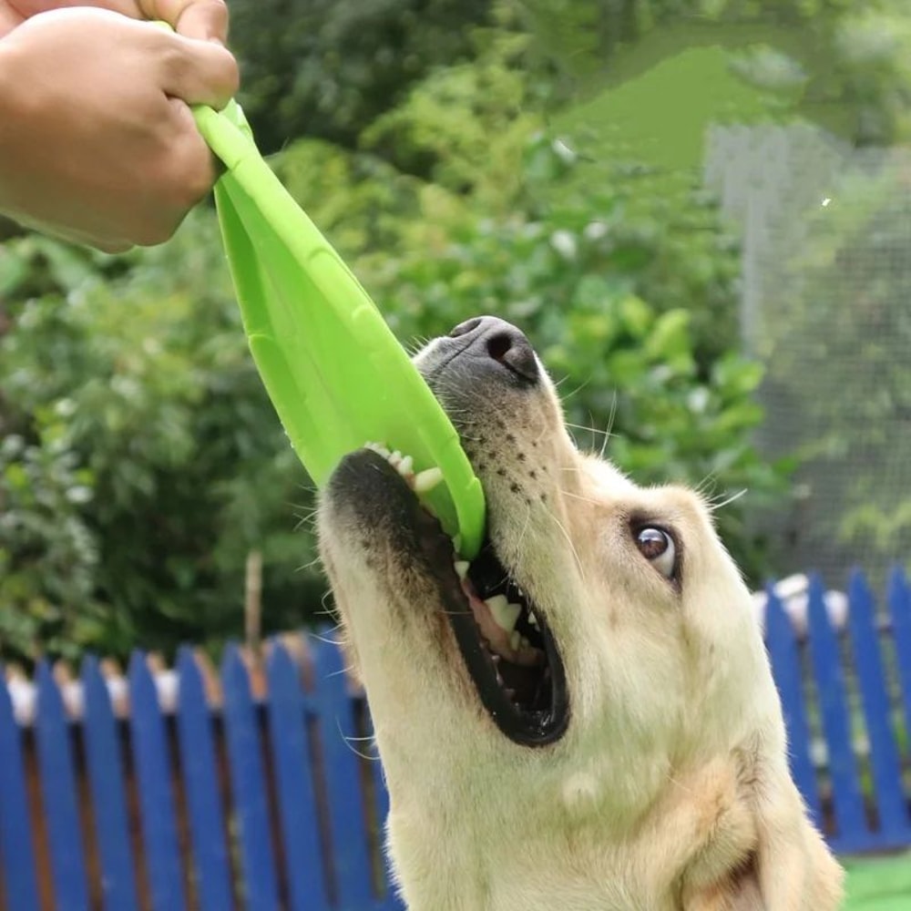 Interactive Silicone Flying Disc Pet Toy 5