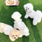 Sweet Polka Dot Pet Dress Shirt For Dogs And Cats 6