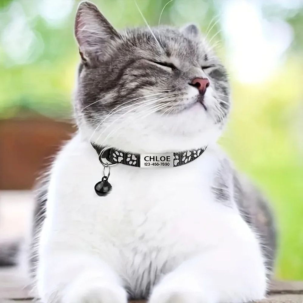 Personalized Reflective Pet Collar With Safety Buckle 5