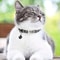 Personalized Reflective Pet Collar With Safety Buckle 5