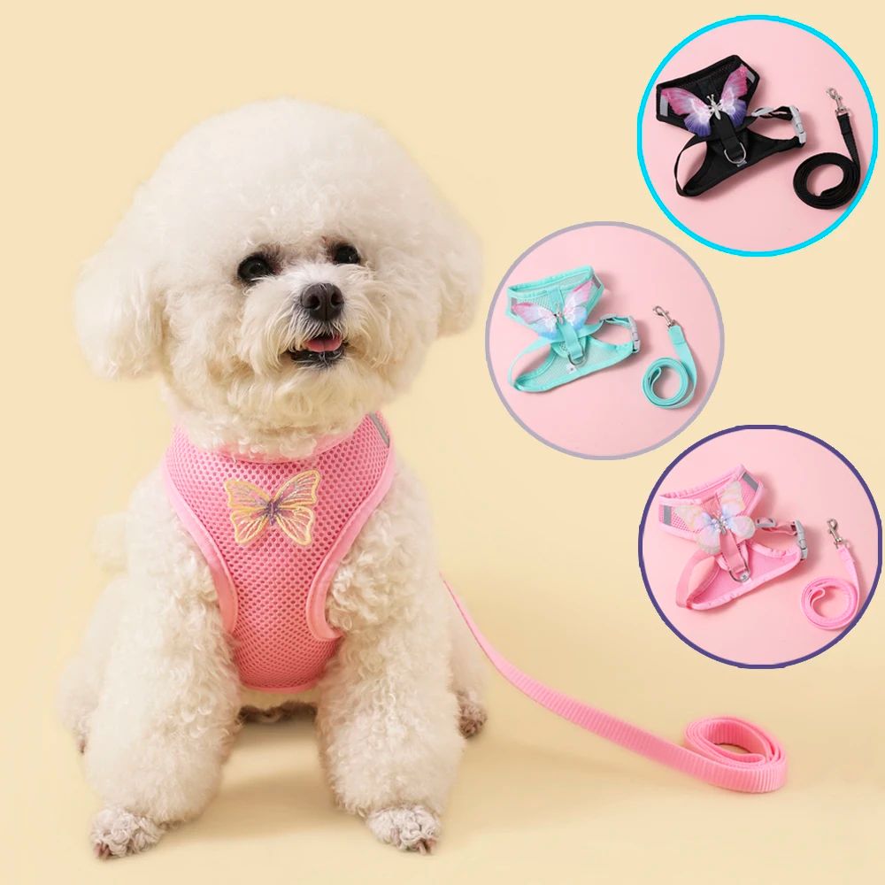 Breathable Butterfly Pet Harness And Leash Set 1