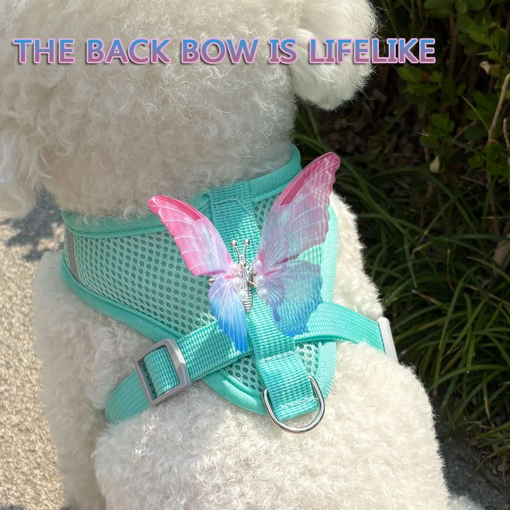 Breathable Butterfly Pet Harness And Leash Set 2