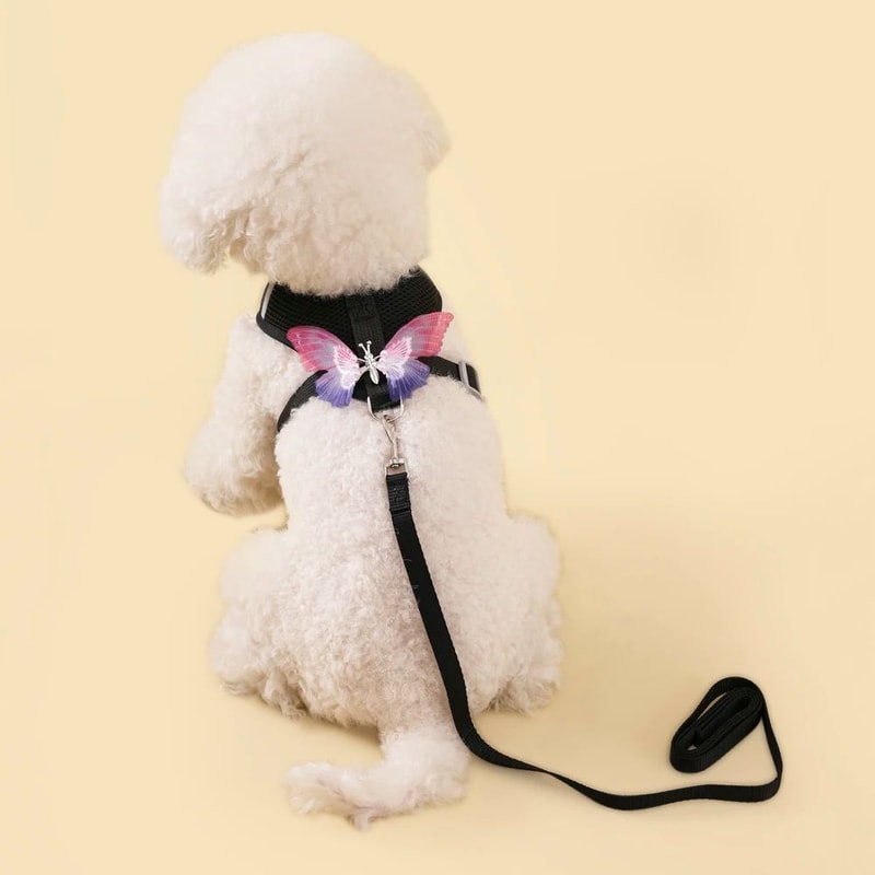 Breathable Butterfly Pet Harness And Leash Set 12