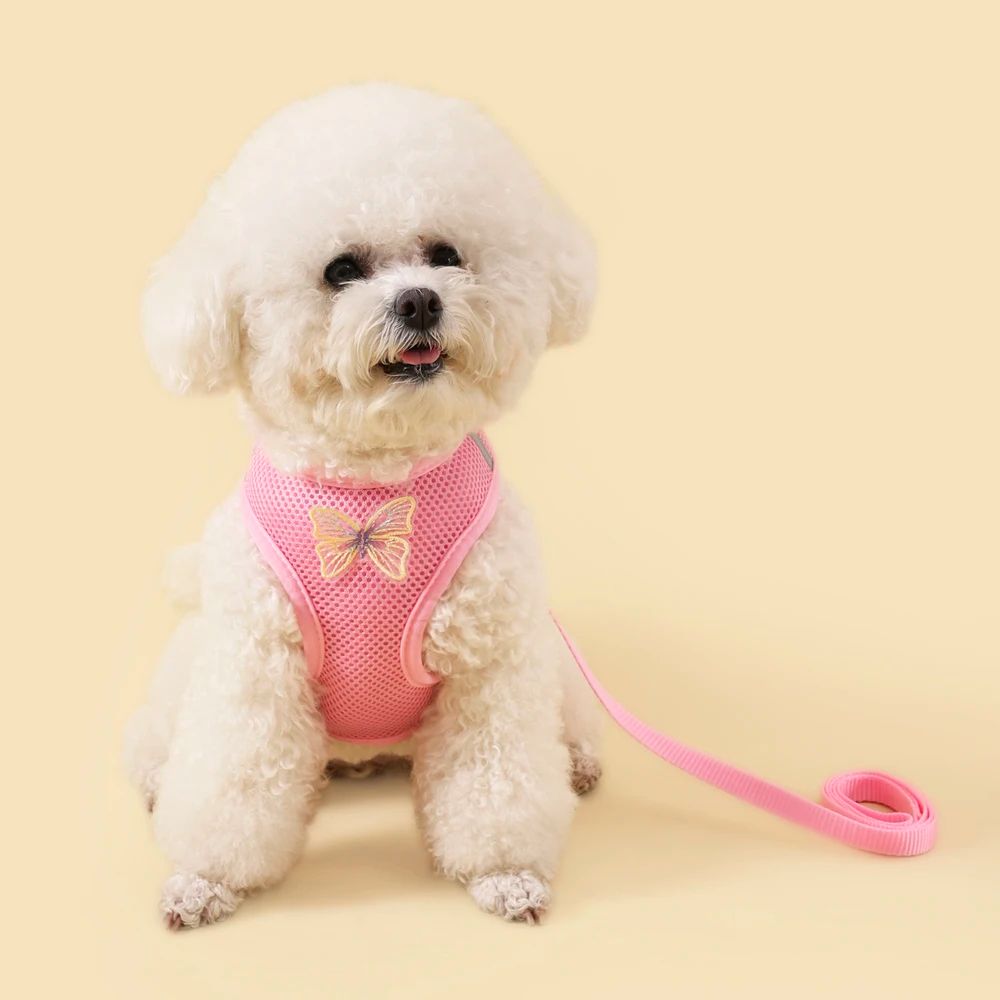 Breathable Butterfly Pet Harness And Leash Set 10